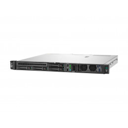 DL20G11 E2434 1P 32G 2X480...
