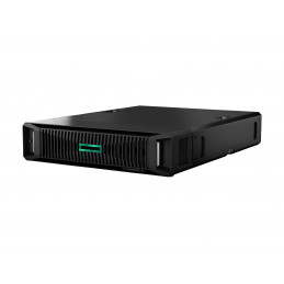 DL145G11 8024P 1X32G NS204...